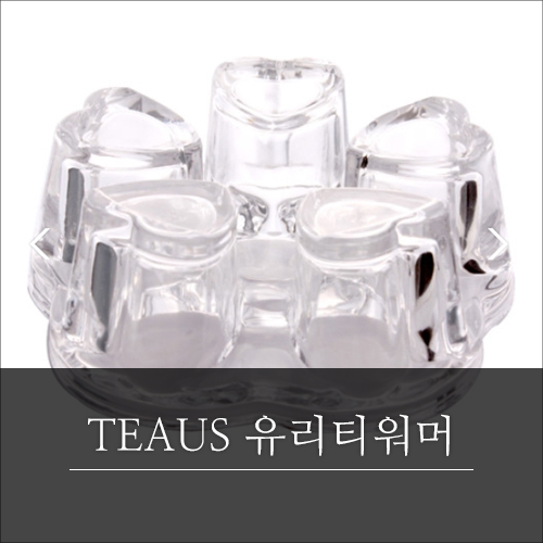 TEAUS 유리티워머